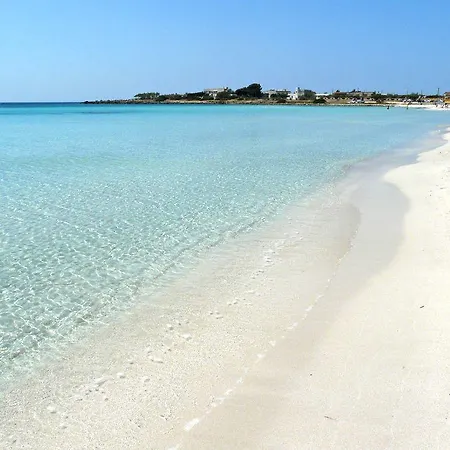 Mimosa * Porto Cesareo