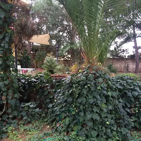 Mimosa Villa *