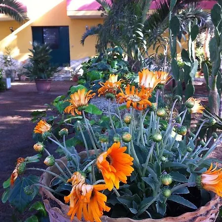 Villa Mimosa Porto Cesareo