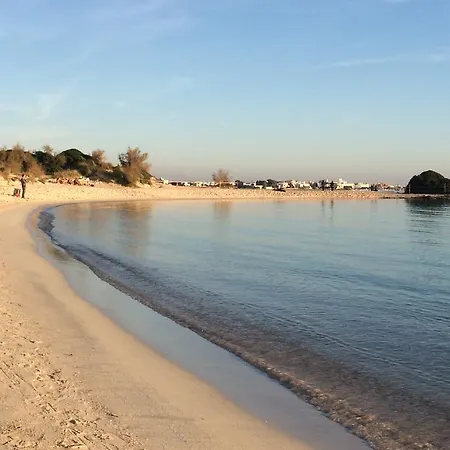 Mimosa Villa *
