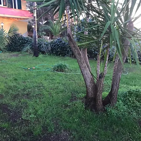 Mimosa Villa